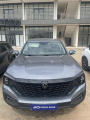 New Changan Hunter Plus 2.0 Petrol 4x4 2024 Gray for sale