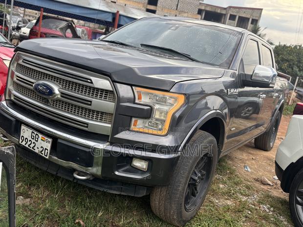Ford F-150 Platinum 4x2 SuperCrew Cab Styleside 6.5 ft. box 157 in. WB