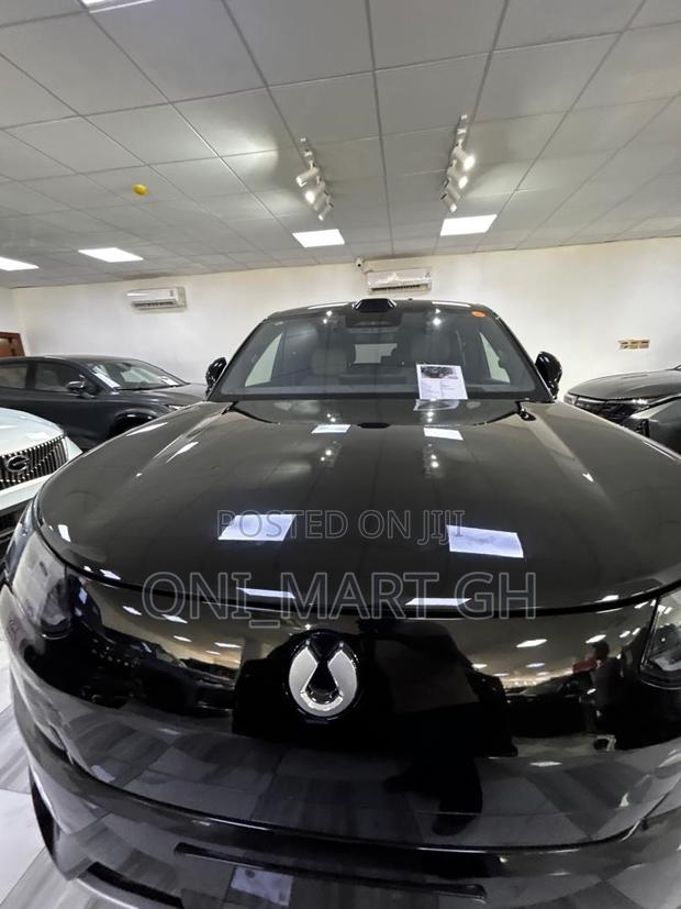 New Denza N9 2.0 Hybrid AWD 2025 Black
