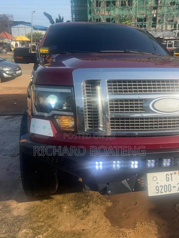 Ford F-150 FX4 2010 Burgundy