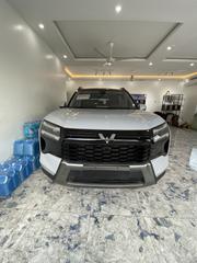 Wuling Xingguang S 510km Leading 2025 Gray for sale