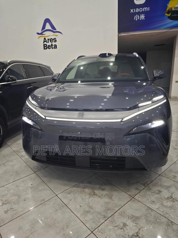 New BYD Tang DM-i 2025 Gray