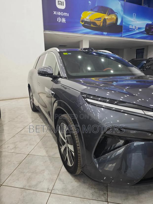 New BYD Tang DM-i 2025 Gray
