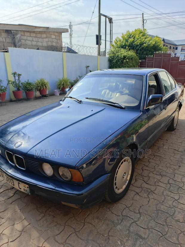 BMW 5 Series 1993 Blue