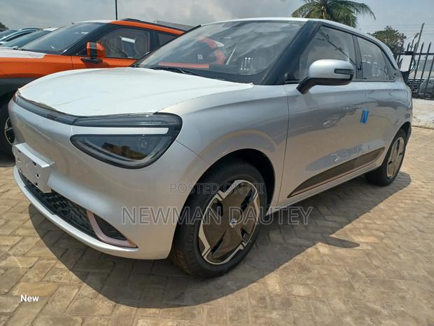 New Dongfeng Nammi Box 2025 Silver