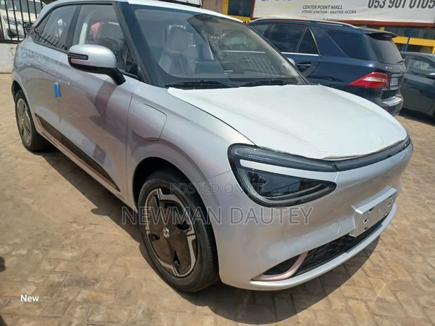 New Dongfeng Nammi Box 2025 Silver