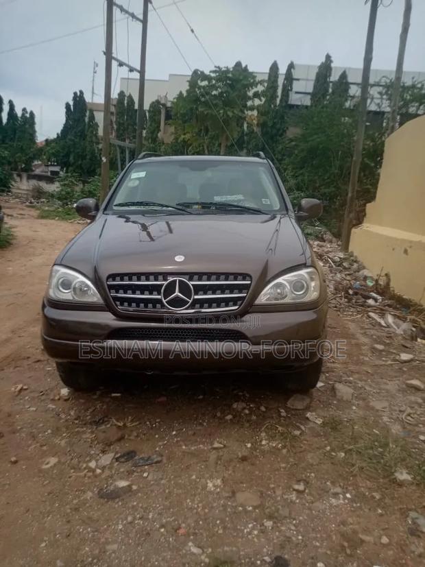 Mercedes-Benz M Class ML 320 2001 Brown
