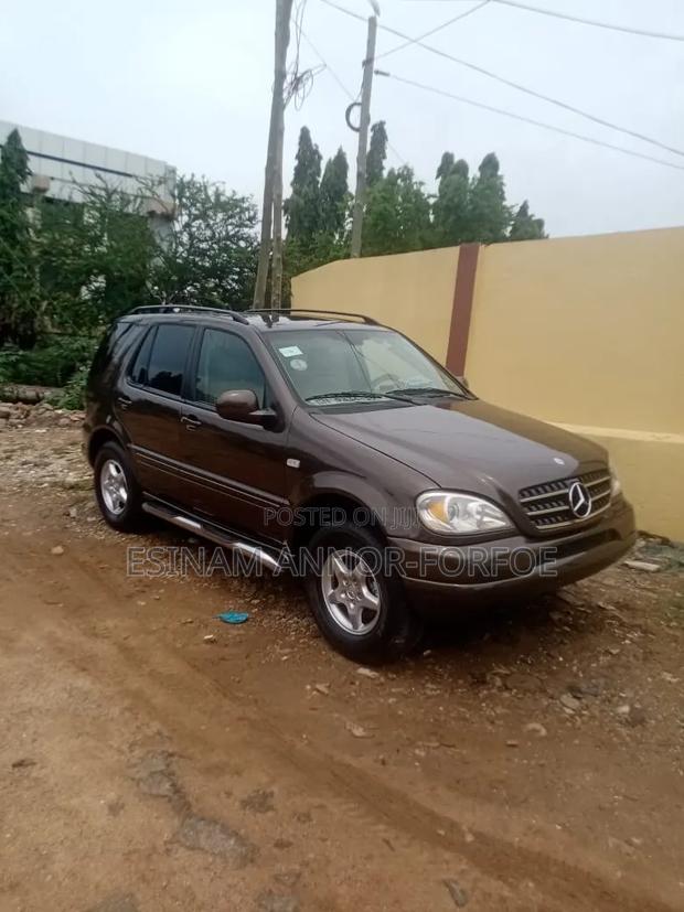 Mercedes-Benz M Class ML 320 2001 Brown