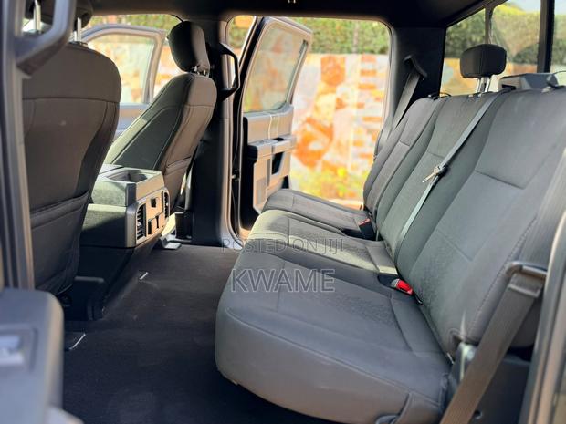Ford F-150 2019 Gray