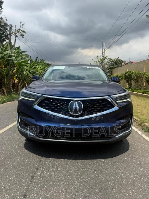 Acura RDX Advance Pkg AWD 2019 Blue