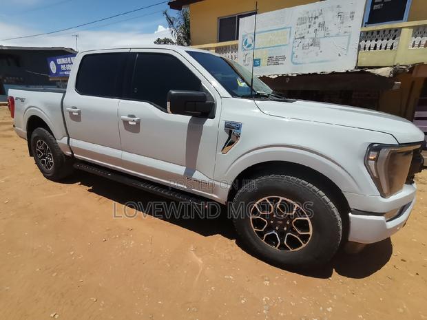 Ford F-150 2023 Gray