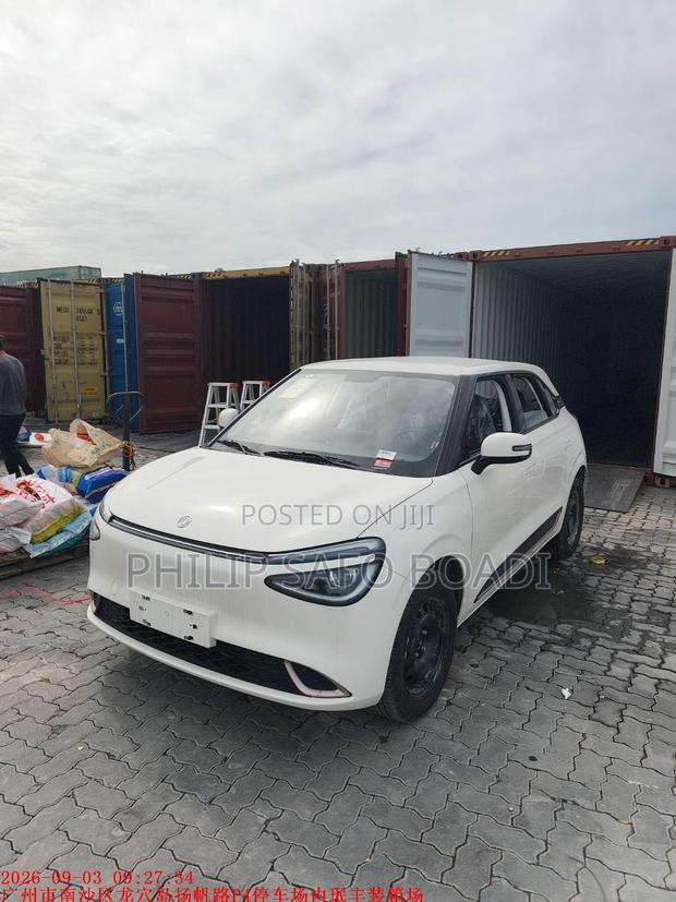 New Dongfeng Nammi 01 42.3 kWh 430 Air 2025 White