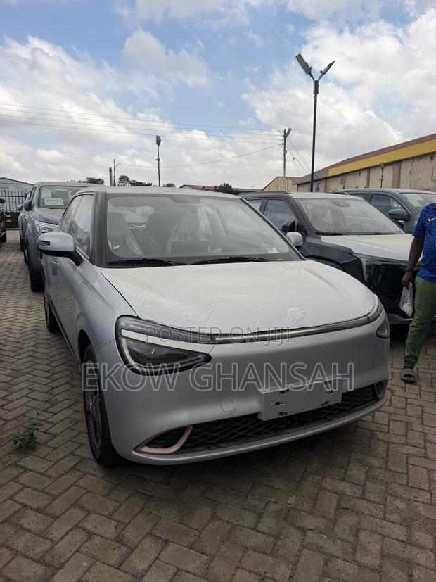 New Dongfeng Nammi 01 2025 Silver