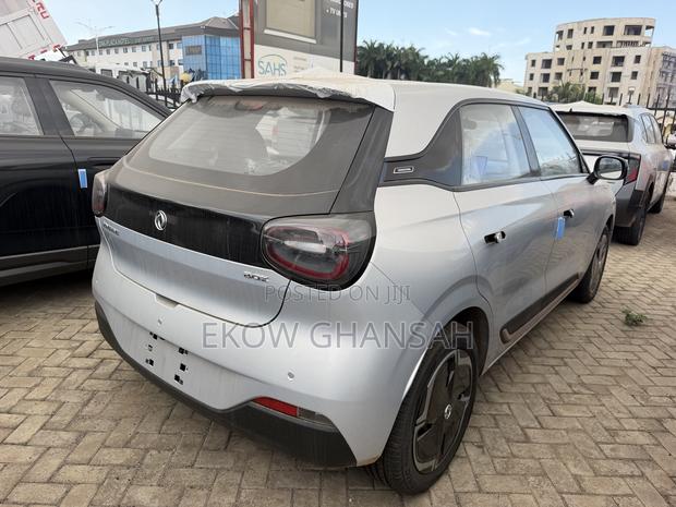 New Dongfeng Nammi 01 2025 Silver