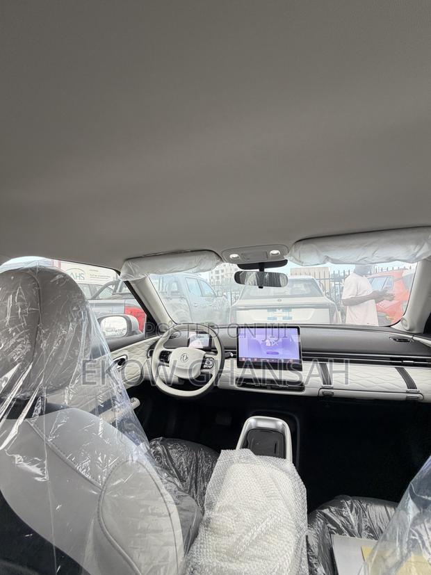 New Dongfeng Nammi 01 2025 Silver