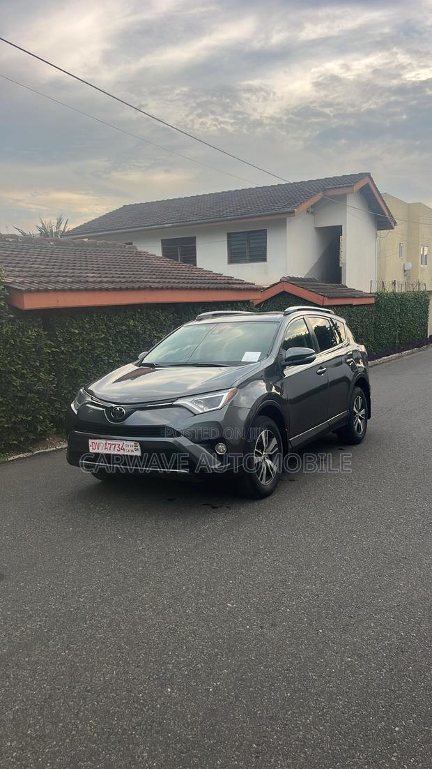 Toyota RAV4 XLE AWD (2.5L 4cyl 6A) 2017 Gray
