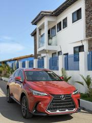 Lexus NX 250 2023 Orange for sale