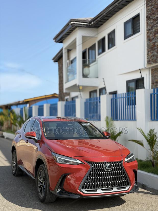 Lexus NX 250 2023 Orange