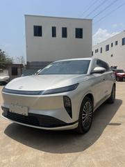 New Dongfeng Rich 2025 Gray for sale