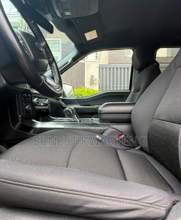 Ford F-150 2021 Gray