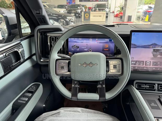 New BYD Leopard 5 2025 Gray