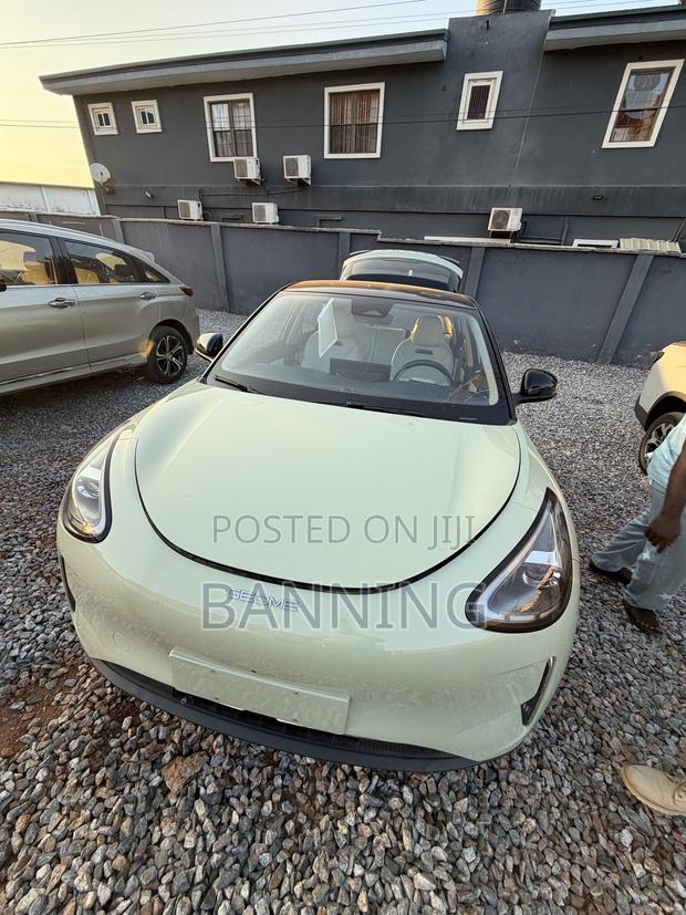 Geely Xingyuan 2025 Green