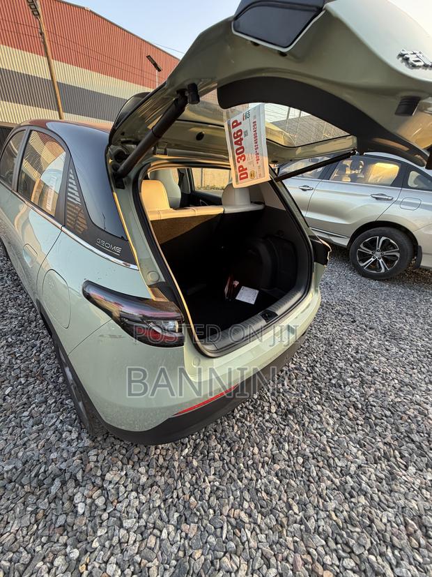 Geely Xingyuan 2025 Green