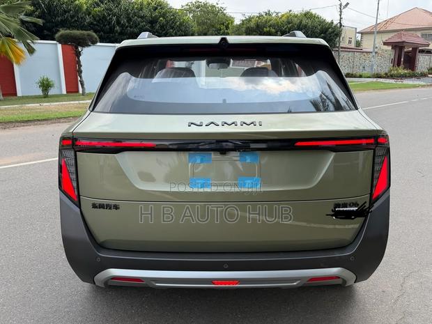 New Dongfeng Nammi 01 2025 Green