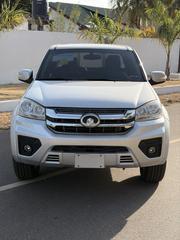 Great Wall Pao 2021 Silver for sale