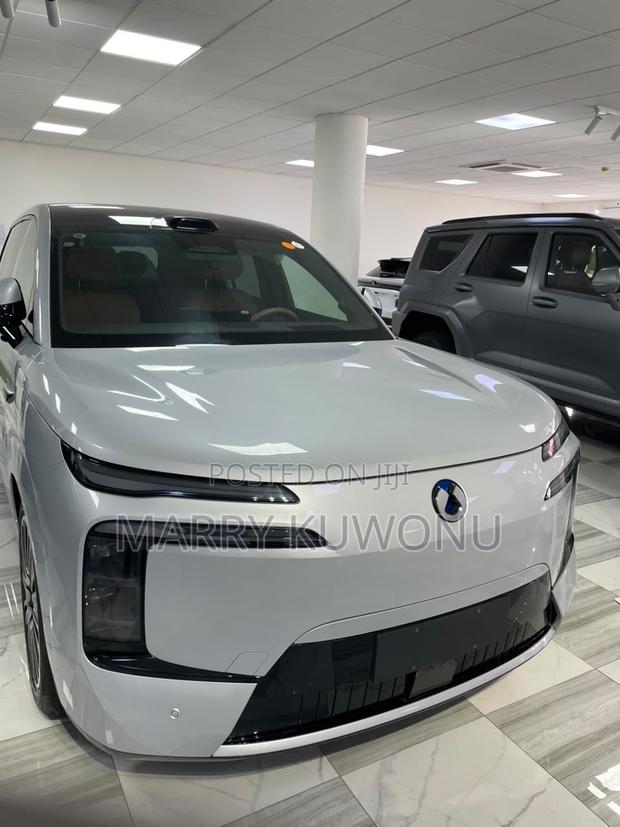 New Denza N9 2.0 Hybrid AWD 2025 Silver