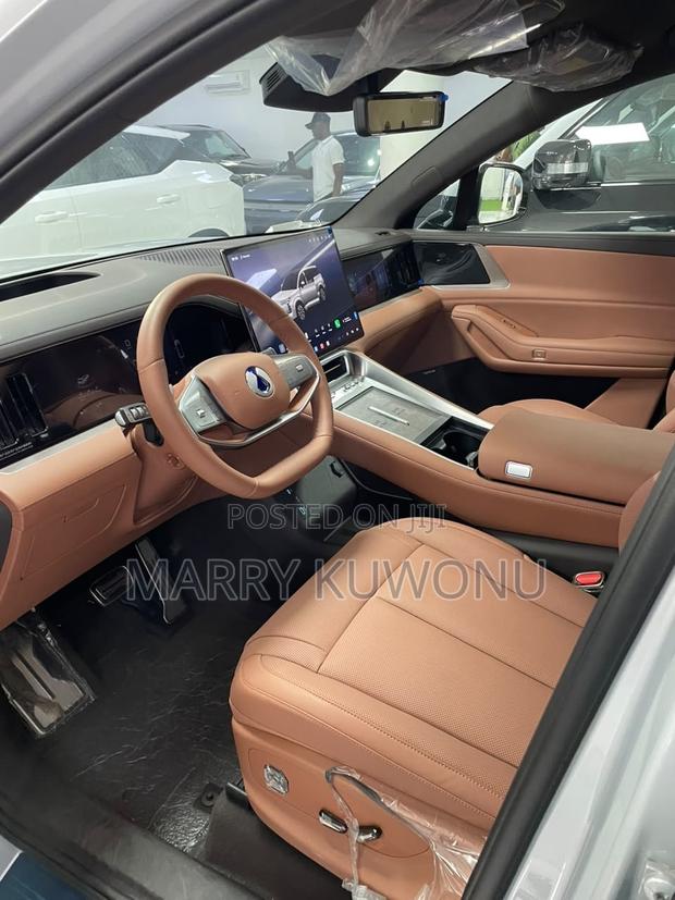New Denza N9 2.0 Hybrid AWD 2025 Silver