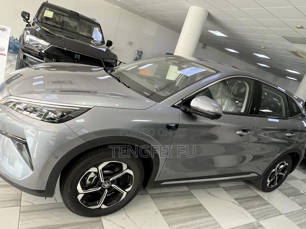New BYD Yuan Plus 2025 Gray
