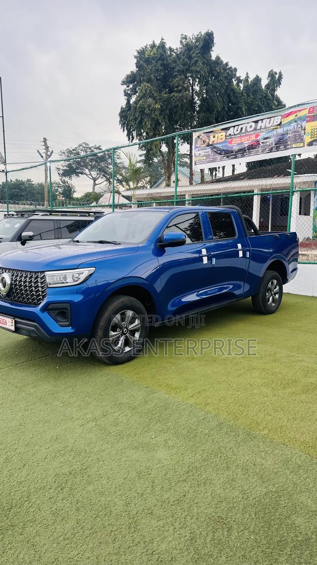 Great Wall Poer Premium 2024 Blue
