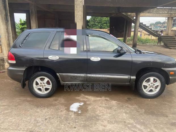 Hyundai Santa Fe 2005 Gray