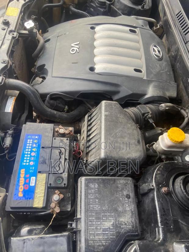 Hyundai Santa Fe 2005 Gray