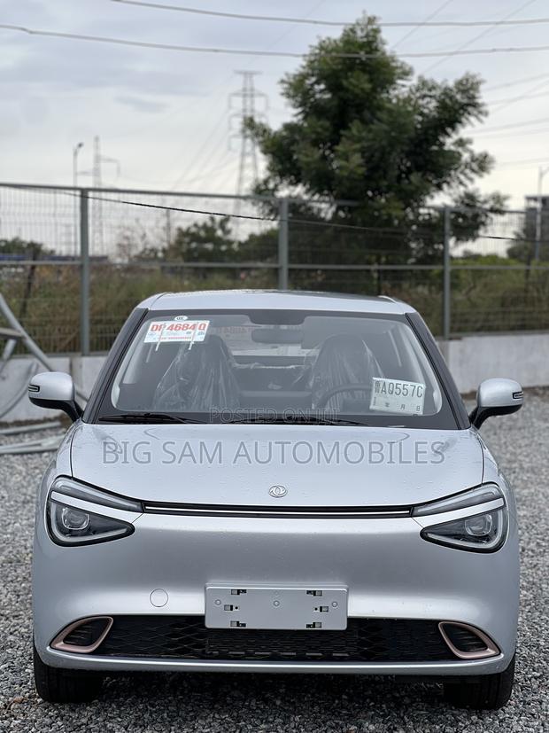 New Dongfeng Nammi Box 2025 Gray