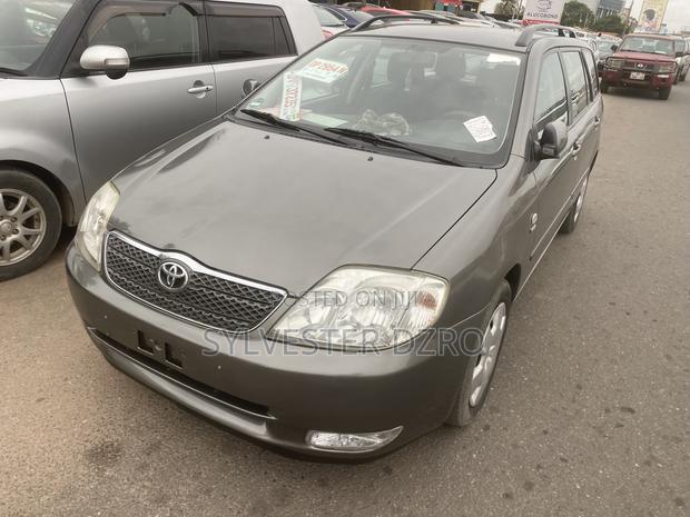 Toyota Corolla 2008 Gray