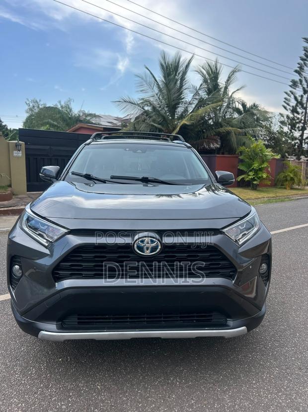 Toyota RAV4 XLE AWD 2019 Gray