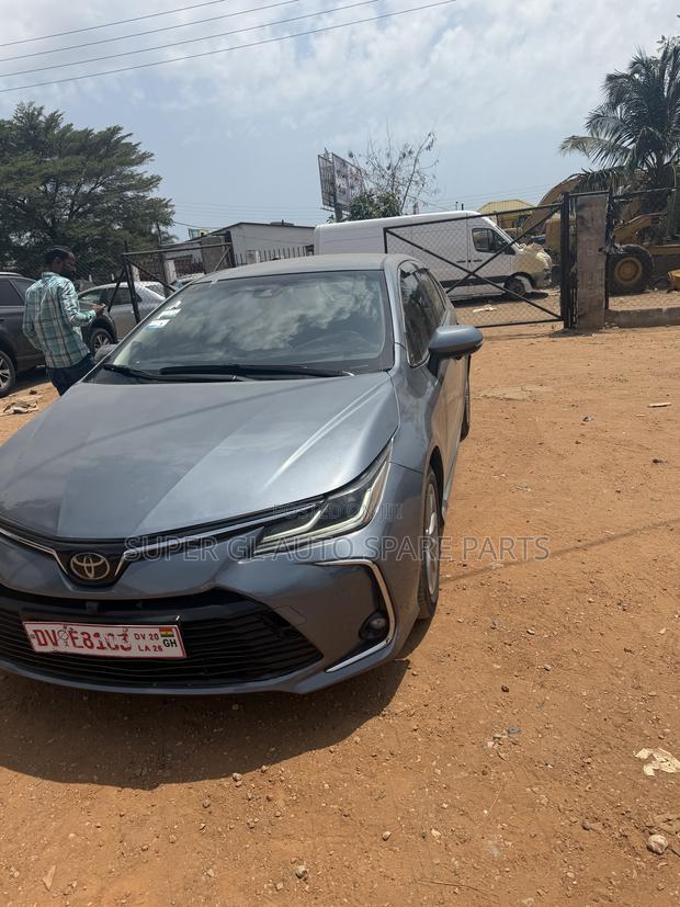 Toyota Corolla LE 2021 Gray