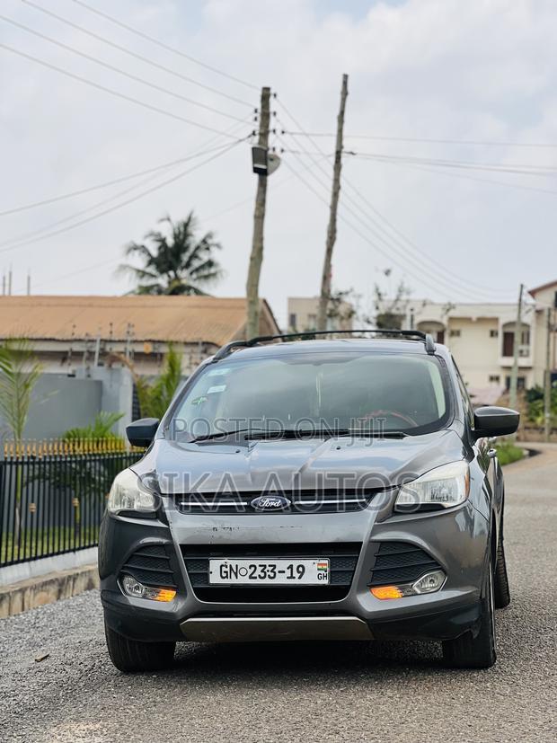 Ford Escape SE 2013 Gray