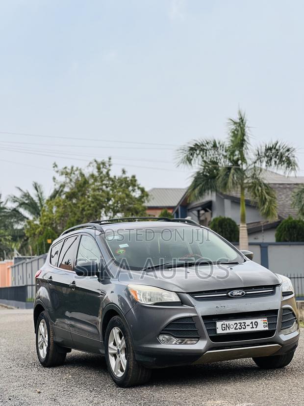 Ford Escape SE 2013 Gray