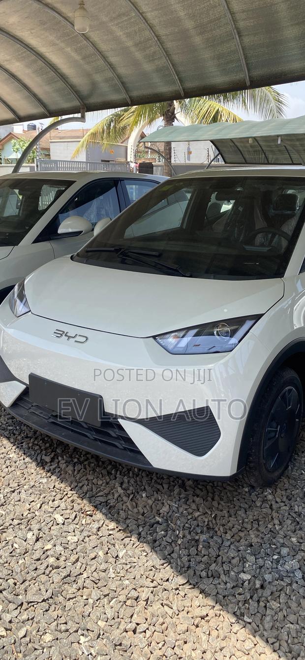 New BYD Seagull 2025 White