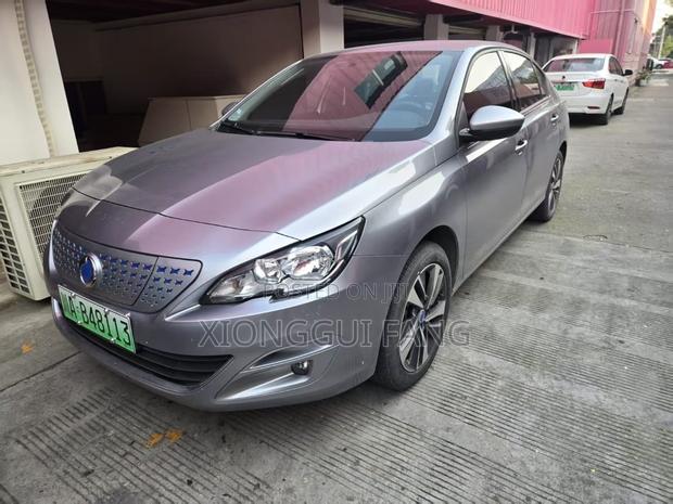 Dongfeng EV EX1 33 kW FWD 2023 Gray