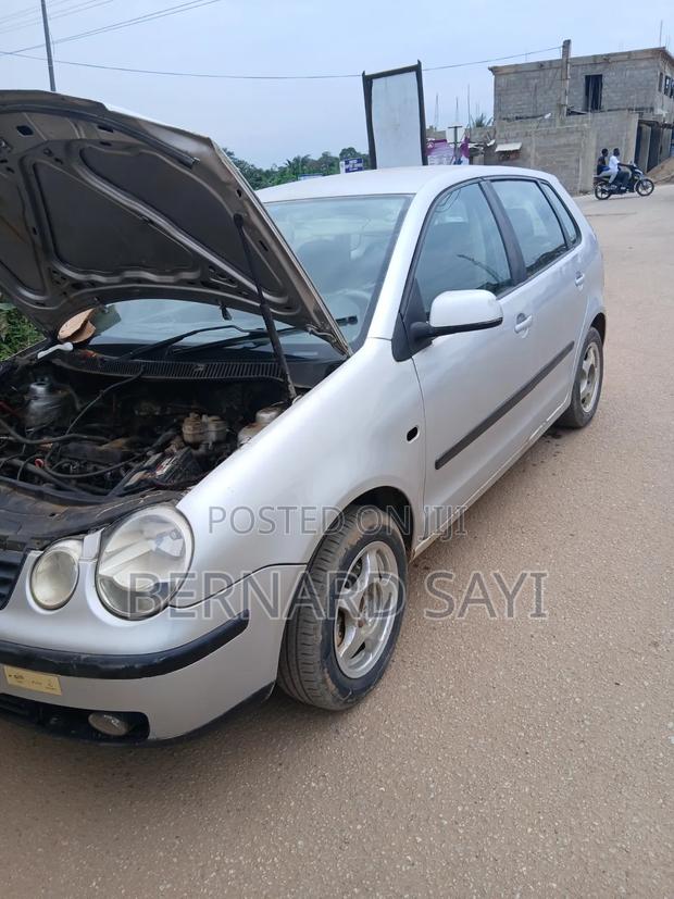 Volkswagen Polo 2002 Gray