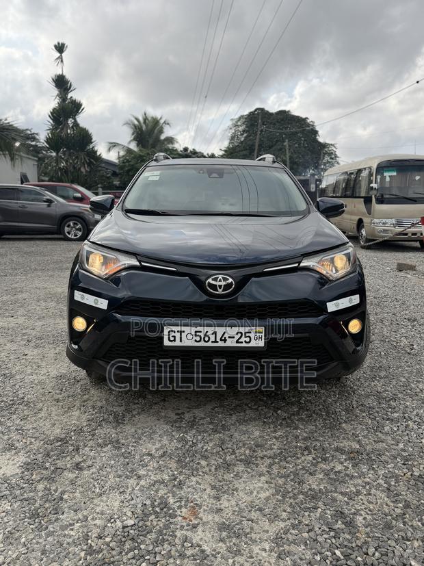 Toyota RAV4 XLE 4dr SUV (2.5L 4cyl 6A) 2018 Gray