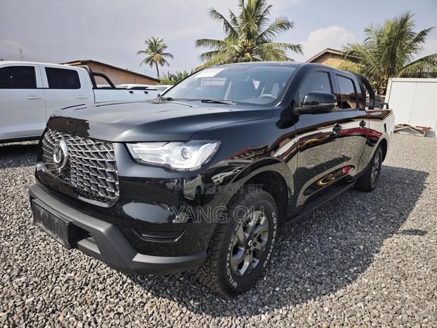Great Wall Poer Deluxe 2022 Black