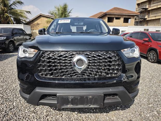 Great Wall Poer Deluxe 2022 Black