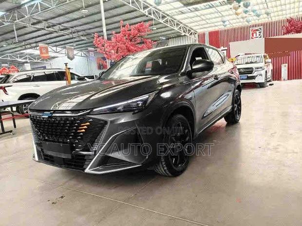 Changan Oshan X5 2024 Gray