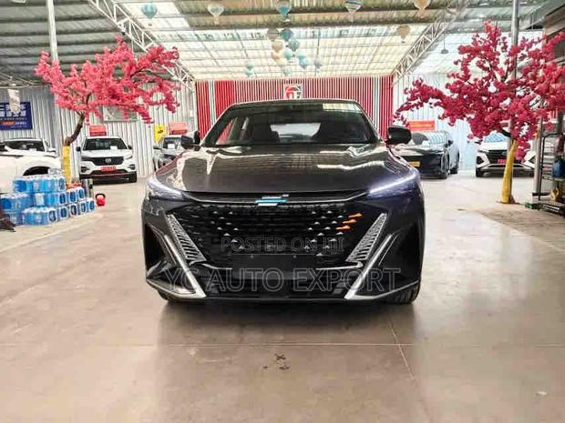 Changan Oshan X5 2024 Gray