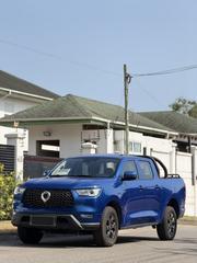 Great Wall Poer Elite 2022 Blue for sale